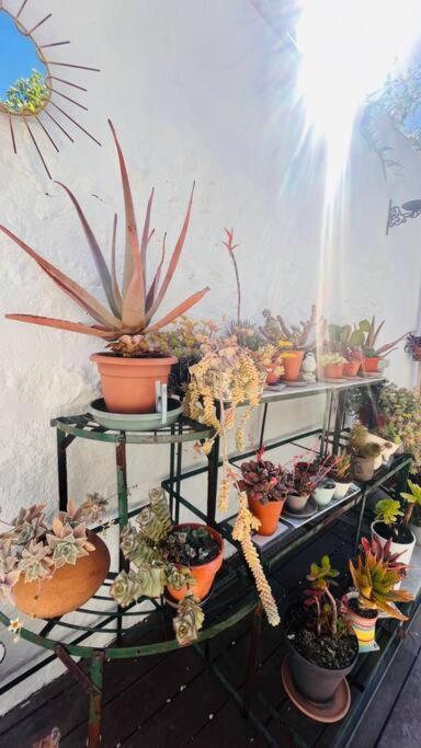 マルセイユLe Jardin Du Roucasアパートメント エクステリア 写真